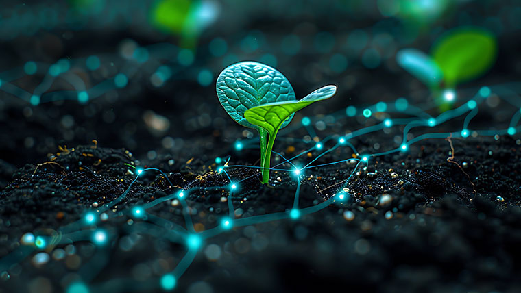 sproutling